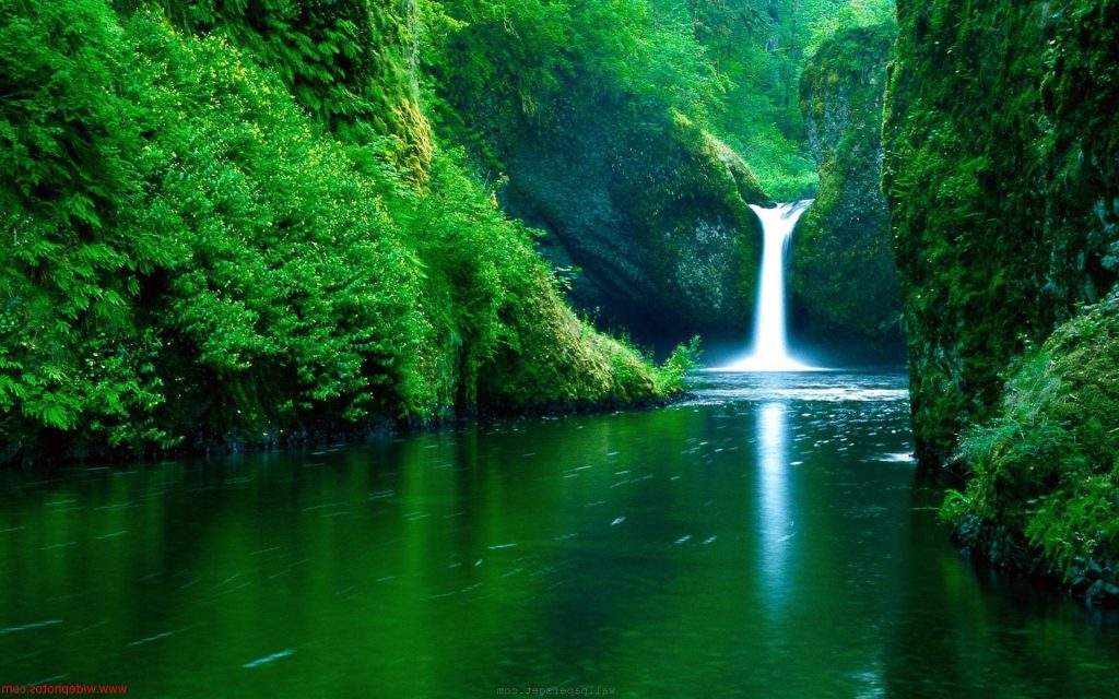 green nature 23
